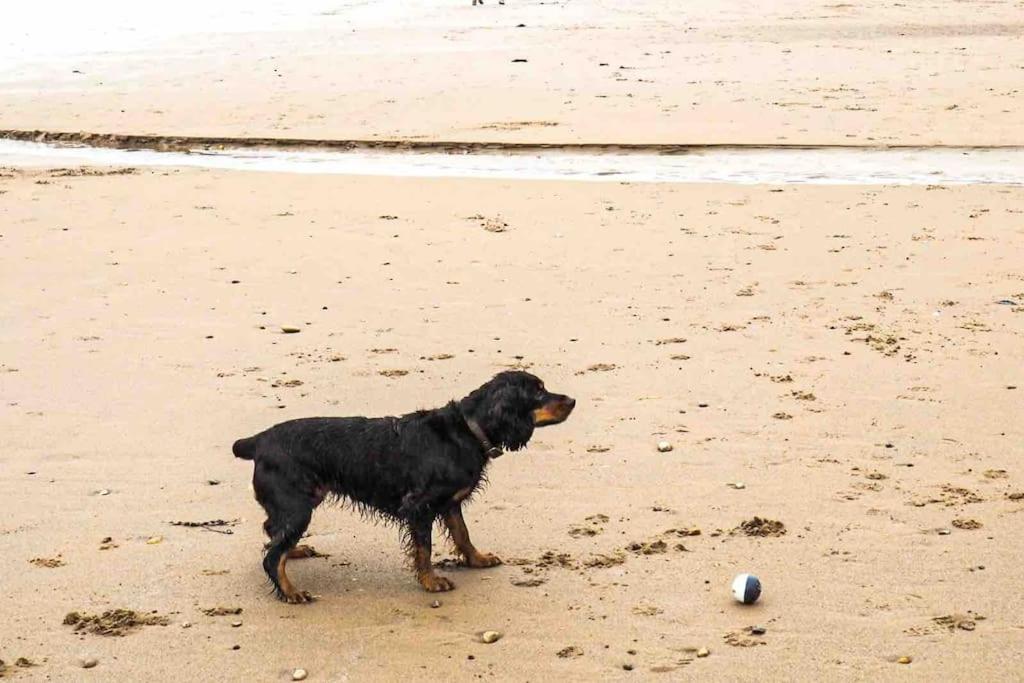 Large Cottage, Beach, Pubs Shops, Netflix, Bbq, Dog Friendly Hunmanby Extérieur photo