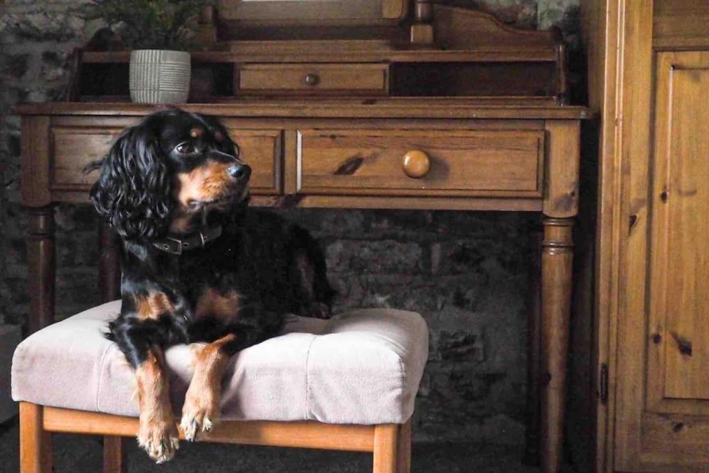 Large Cottage, Beach, Pubs Shops, Netflix, Bbq, Dog Friendly Hunmanby Extérieur photo